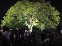 今年も会えました