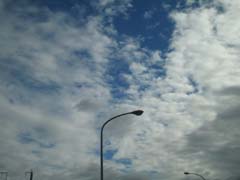 青空がのぞいてます
