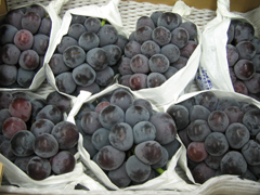 まんまるぶどう