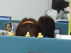 うちの娘っ子たち