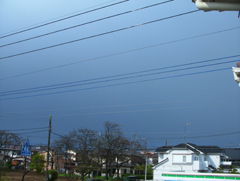 雨上がり