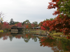 日本庭園