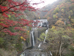 観瀑展望台からの眺め