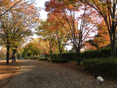 三橋総合公園にて