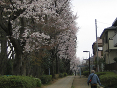 「あいさつ通り」だそうです