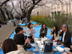 花見♪花見♪