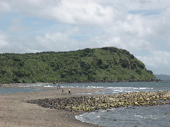 知林ヶ島