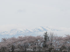 山もきれい…