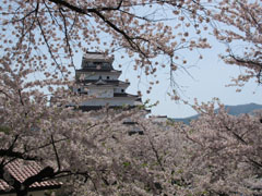 鶴ヶ城