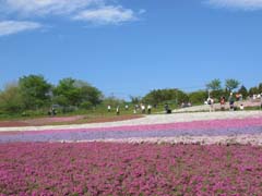 青空も最高