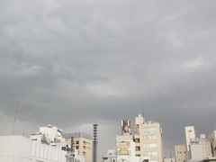 雨が降るぞー