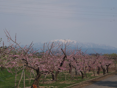 寒河江にて