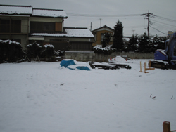 雪、積もりました