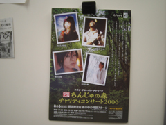 ちんじゅの夏がやってきた