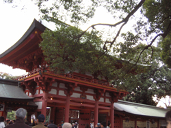 氷川神社