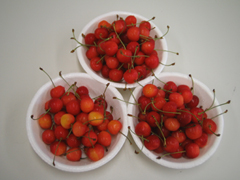 おいしぃぃぃ♪