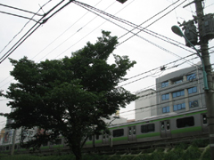 雨雨雨