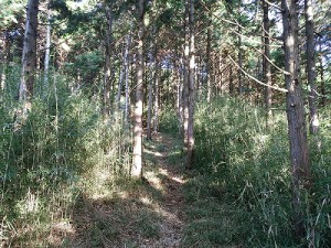 IMG_20151129_082009