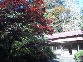 cimg2304