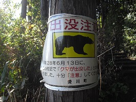 cimg2322