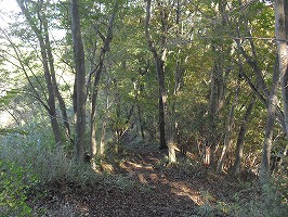 cimg2363