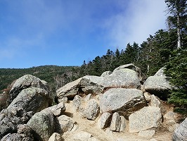 dsc_1450