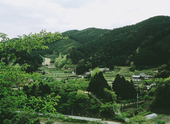 201450706_tadaima01