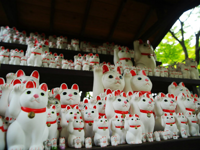 20150709_tadaima02