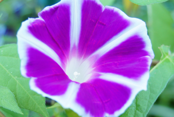 20150811_tadaima01