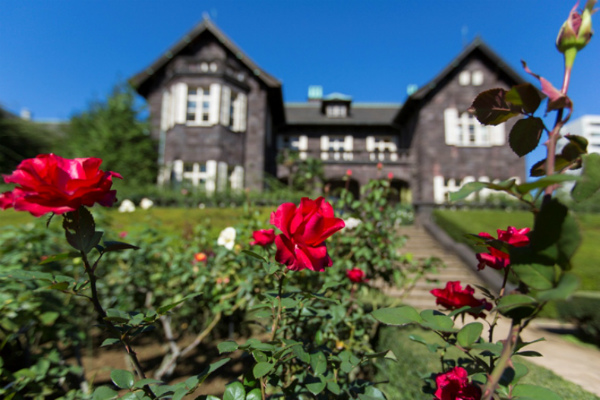 20150924_tadaima