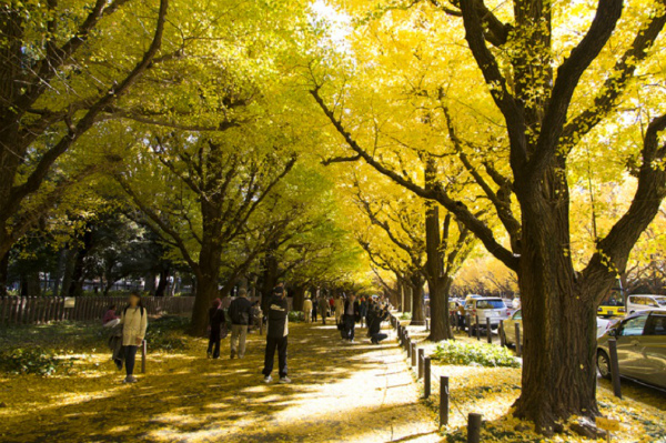 20151029_tadaima