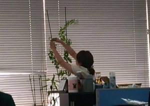 20150819_today