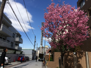 20160325_today02